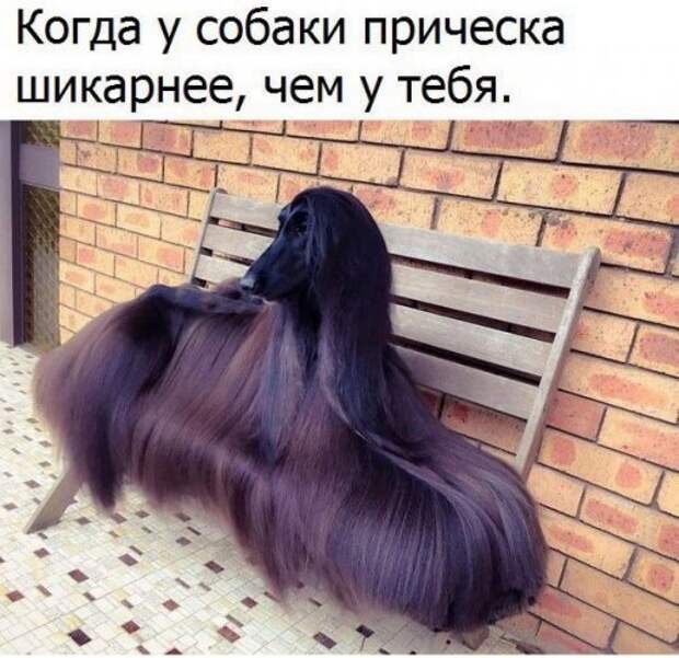 Свежие фотомемы для настроения (22 шт)