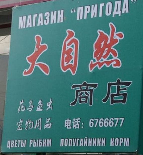 Нелепые вывески на русском языке в Китае (25 фото)