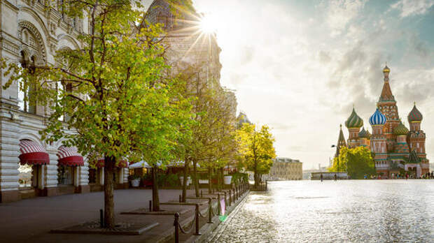 Вернутся ли заморозки? Синоптик Позднякова дала окончательный прогноз для Москвы на апрель