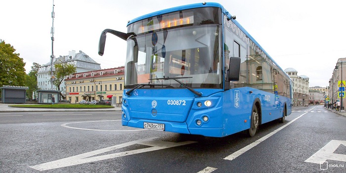 выделенные линии, автобусы