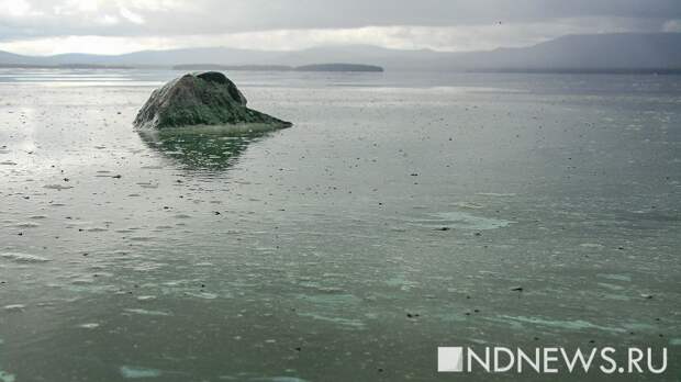 На Урале выберут водоемы, которые нуждаются в очистке