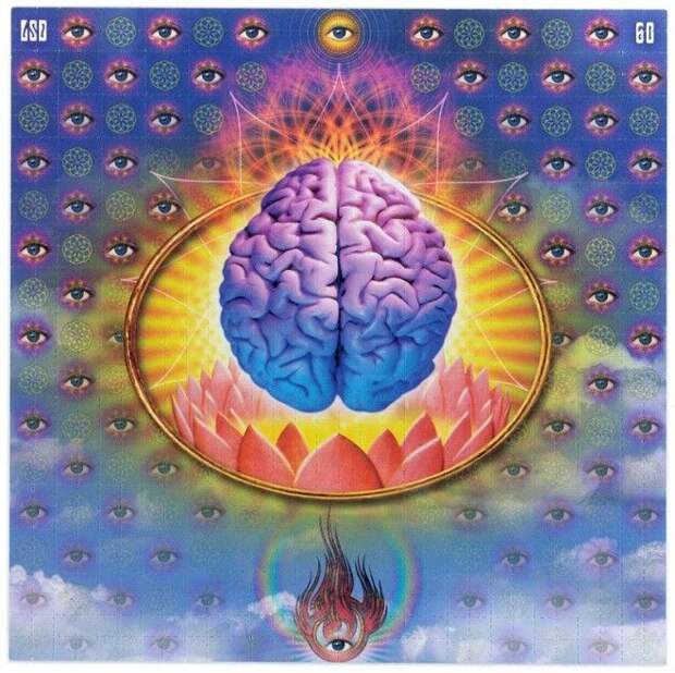 Самая большая в мире коллекция ЛСД-марок