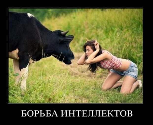 Прикольные демотиваторы (25 шт)