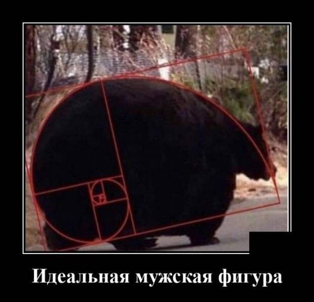 demotivatory-demotivator-smeshnye-demotivatory-demotivator-so-smyslom