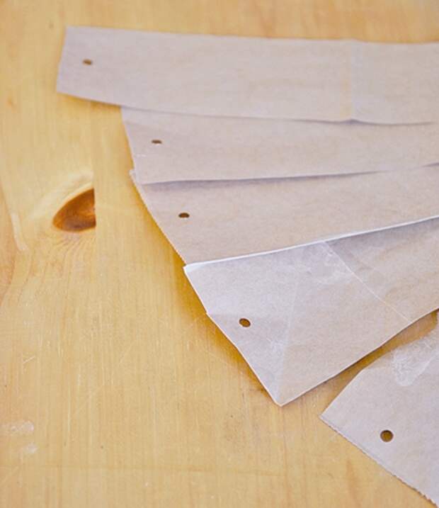 homemade-fly-paper-3 (400x463, 139Kb)