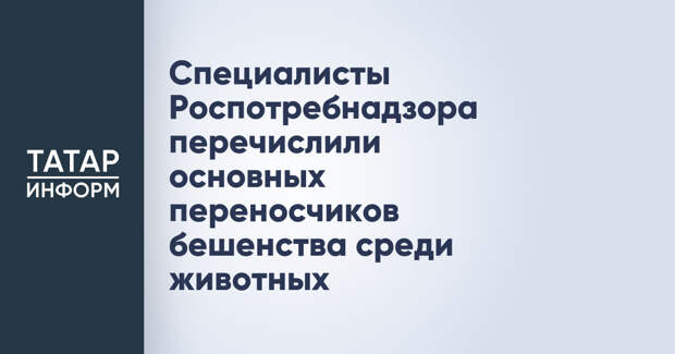 Специалисты Роспотребнадзора перечислили основных переносчиков бешенства среди животных