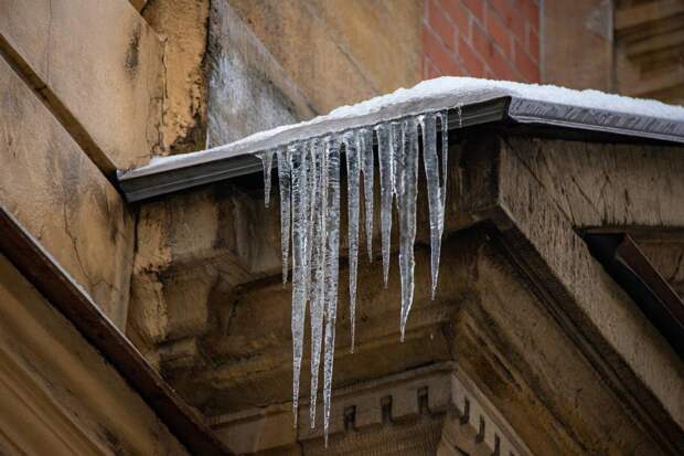 Считанные единицы спецтехники расчищали Петербург от снега в полдень 6 января Считанные единицы спецтехники расчищали Петербург от снега в полдень 6 января