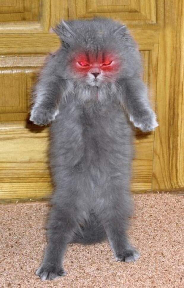 Забаво :) (36 фоток)