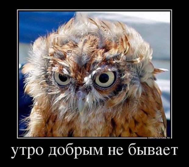 Немного новых демотиваторов