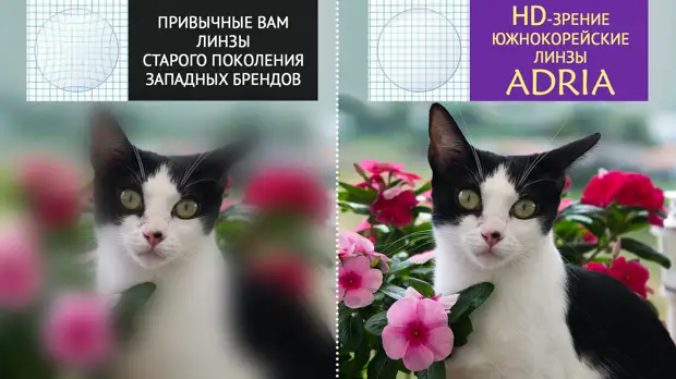 Чего со зрением?