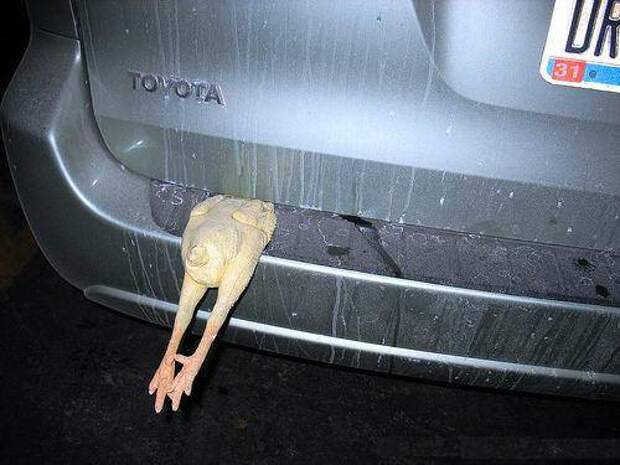 http://www.lolcars.com/images/how-to-date-a-chick-with-your-car.jpg