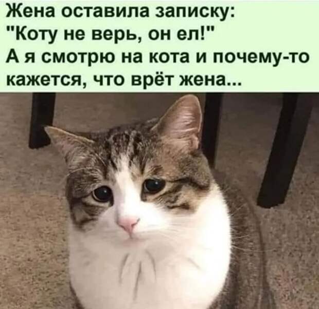 Девишник...