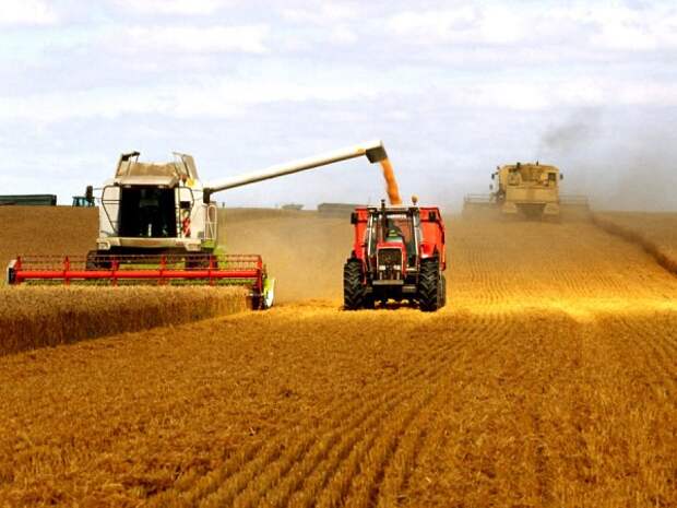 Фото: Россия отправит на экспорт часть государственных запасов зерна