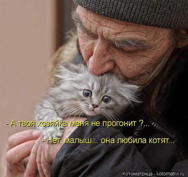 Котоматрица: - А твоя хозяйка меня не прогонит ?... - Нет, малыш... она любила котят...