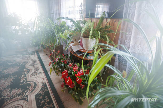 Кышын бүлмәдә дымлылык җитәрлек булмауның нинди зыяны бар?