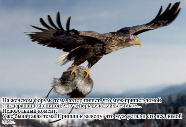 4091273_4cf6b71f