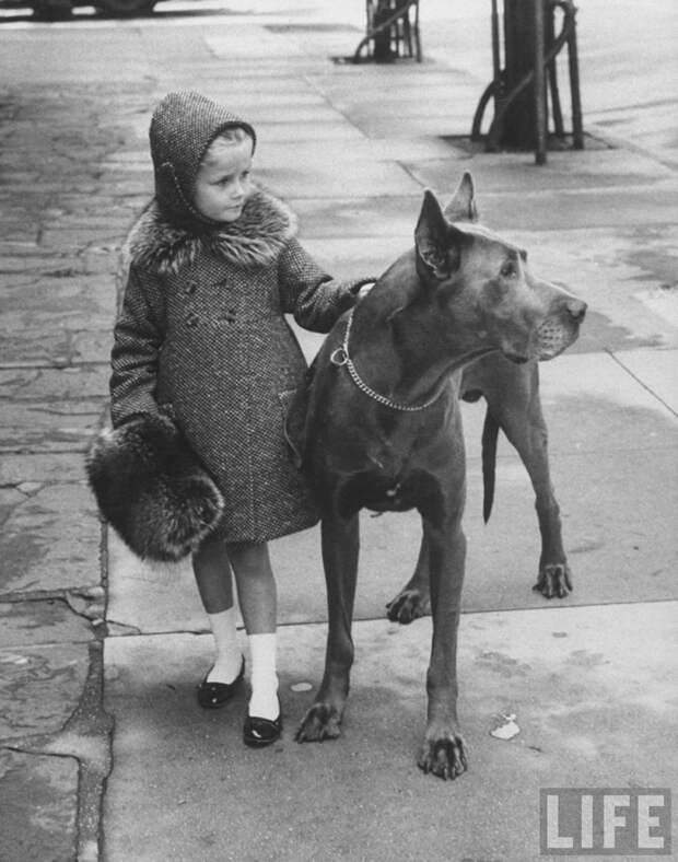 Nina Leen. Ускользающая красота celebrities, fashion, ХХ век, классики фотографии, сша