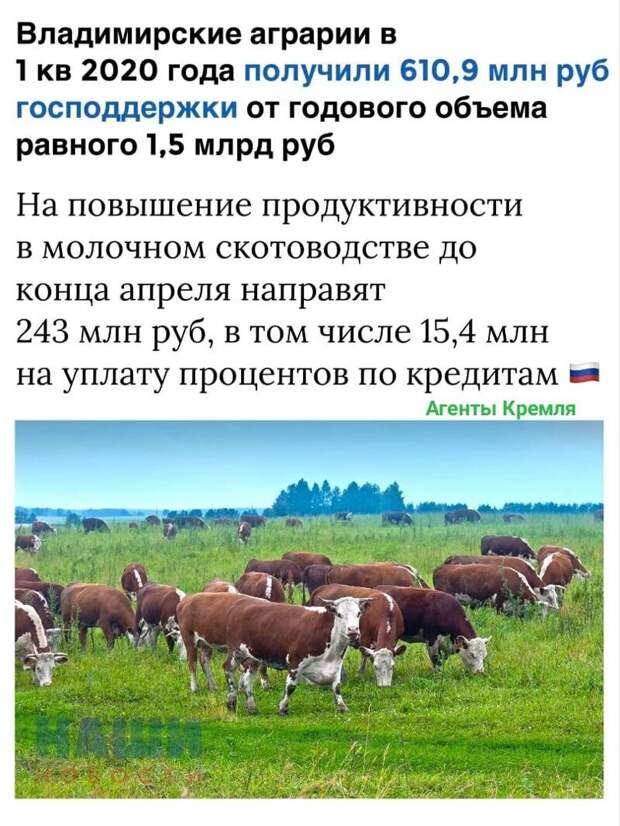 Политические комментарии из инета