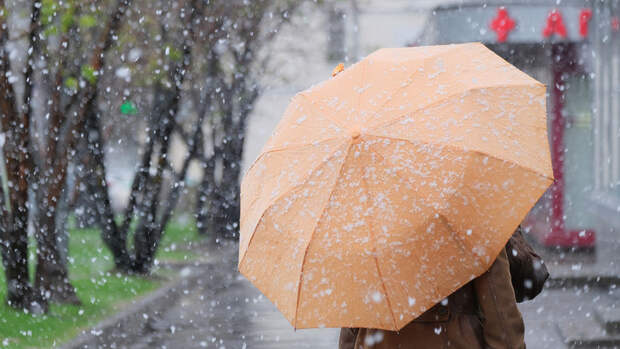 Синоптик Шувалов: вероятность снега в Подмосковье в Вербное воскресенье – 40%