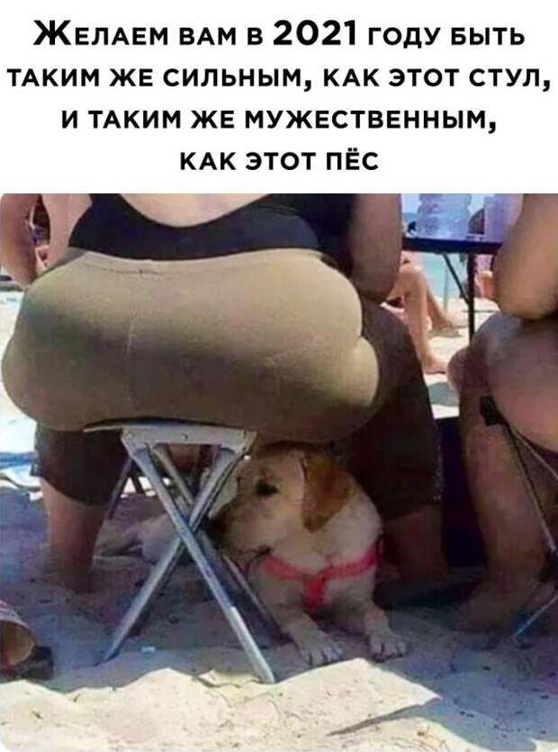Смешные фото 5 января 2021