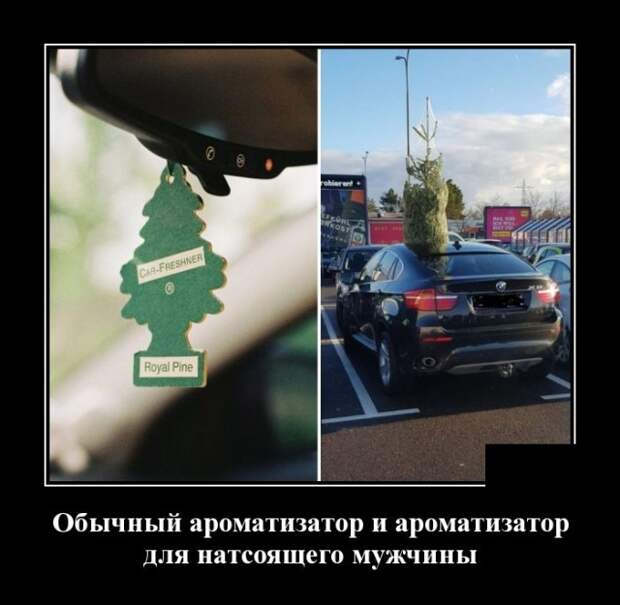 Демотиваторы (30 фото)