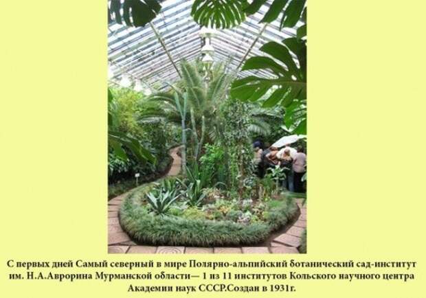 Выдающиеся достижения СССР, беспристрастно о фактах СССР, достижения, история, факты
