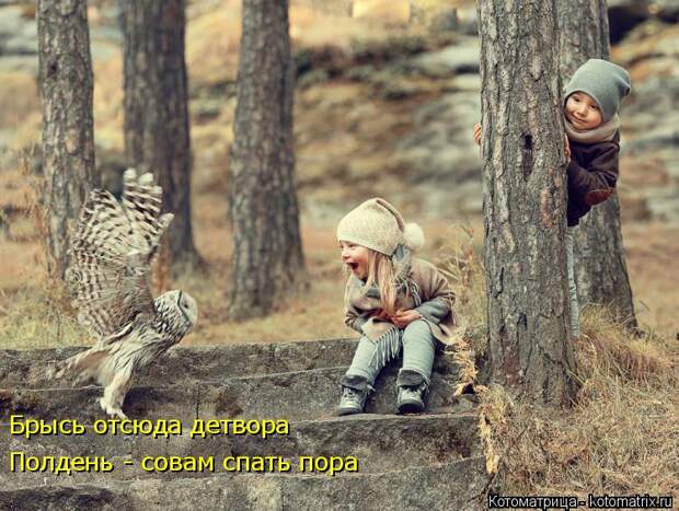 Котоматрица: Брысь отсюда детвора Полдень - совам спать пора