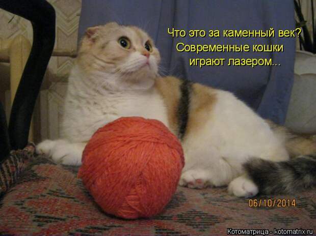 Котоматрица: Что это за каменный век? Современные кошки играют лазером...