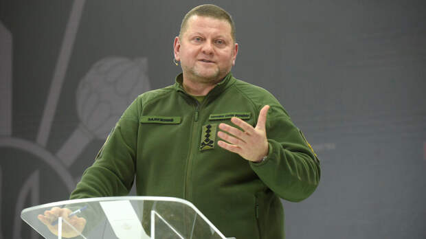 NV: Залужный хочет уйти с поста посла Украины в Британии