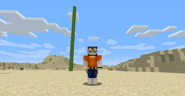 Как в Minecraft вырастают огромные кактусы (рекорд — 22 блока)