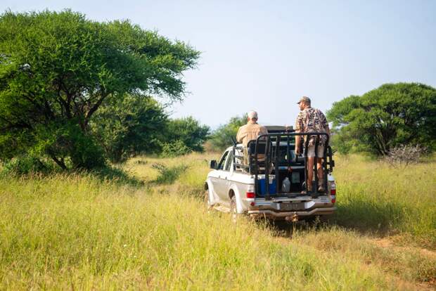 Профессиональные охотники: их будущее?