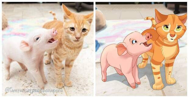 Люди присылают художнику фото своих питомцев, и он делает из них мультяшек Диснея: 14 фото