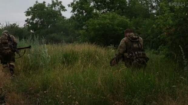 Боевики нацбатальонов едут из Донбасса в Сирию воевать за ИГ Боевики нацбатальонов едут из Донбасса в Сирию воевать за ИГ