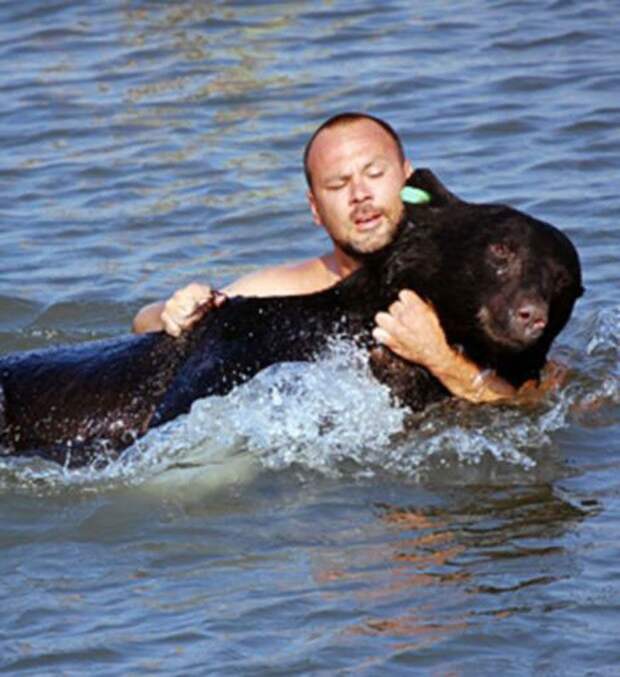 Мужчина рискнул своей жизнью ради тонувшего медведя медведь, спасение