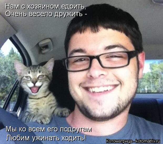 Котоматрица: Нам с хозяином,едрить, Очень весело дружить - Мы ко всем его подругам Любим ужинать ходить!