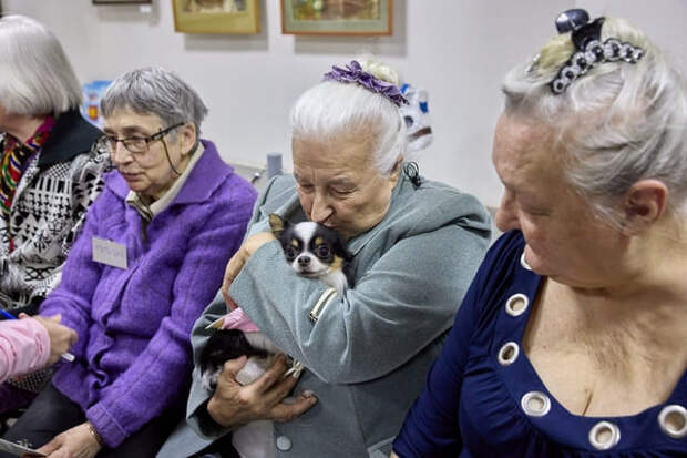 Под Смоленском собаки стали врачами для пожилых людей