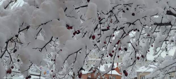 Мокрый снег, гололед, наледь! На Кубани до конца года штормовая нестабильная погода