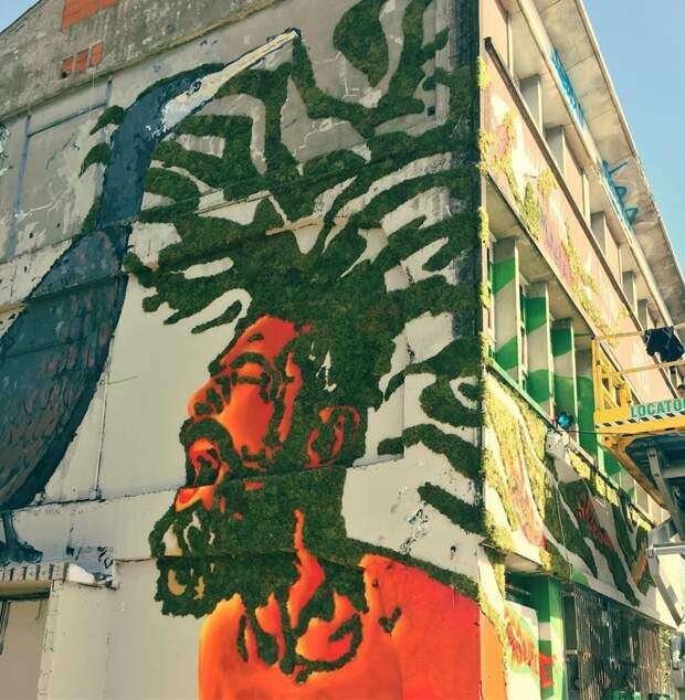 Экологически чистый стрит-арт: граффити, нарисованные мхом город, граффити, граффити мхом, мох, партизанинг, урбанистика, эстетика