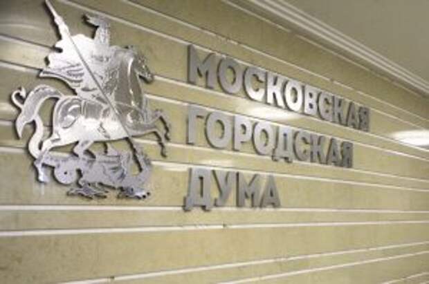 Депутат Мосгордумы Елена Николаева: Реализацию программы реновации не остановят. Фото: сайт мэра Москвы