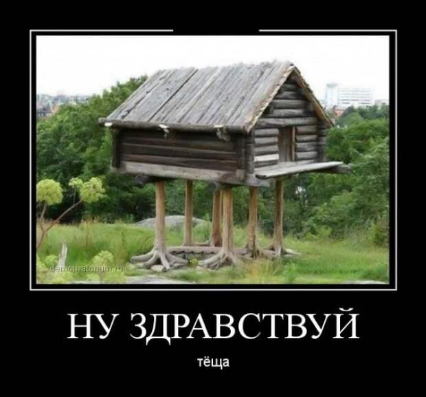 Обо всём.
