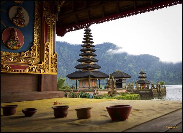 12487_10151448273909775_1767362878_n