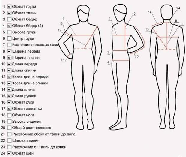 Простые, но практичные шпаргалки о человеческом теле Простые, но практичные шпаргалки о человеческом теле измерения, интересное, мерки, подсказки, тело, факт, человек, шпаргалки