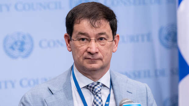 Полянский назвал условия для возвращения РФ в ПА ОБСЕ