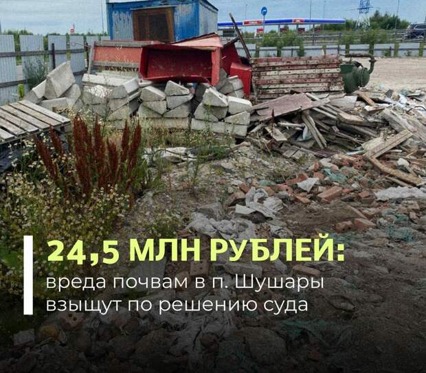 После опасной находки в Шушарах бизнесмены заплатили больше 24 млн рублей