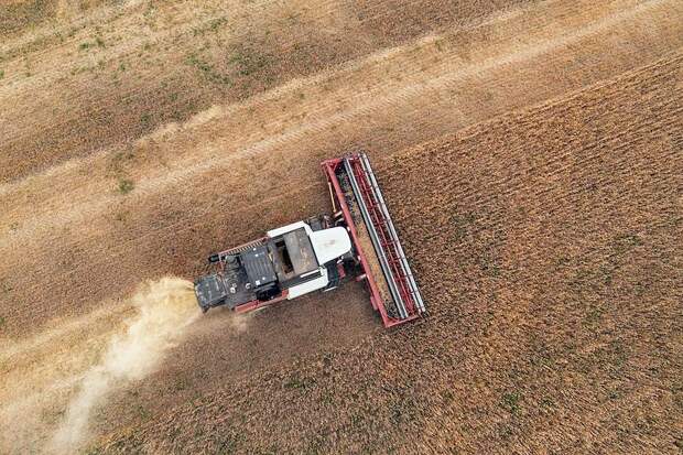 В Госдуме обрадовали россиян неожиданным прогнозом по урожаю