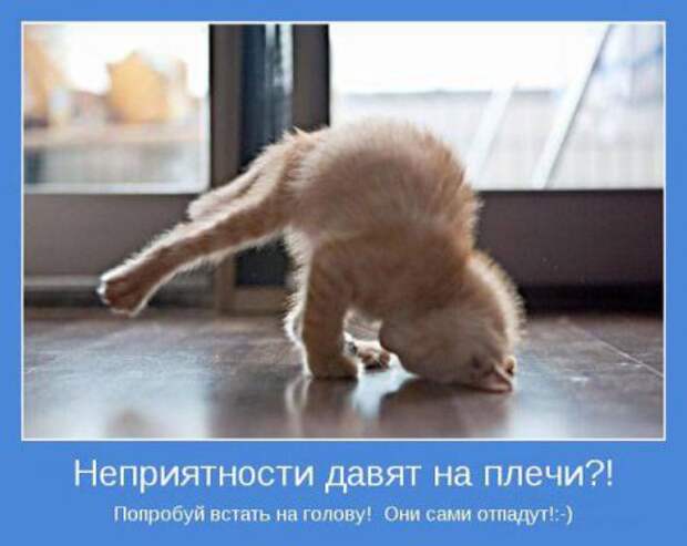Мотиваторы к пятнице.