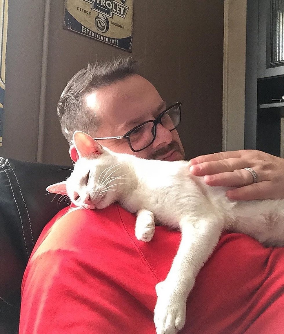 Кошка принесла котят в автосалон, где её однажды подкормили. И вот чем это кончилось