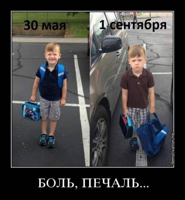 Новый сборник демотиваторов (12 шт)