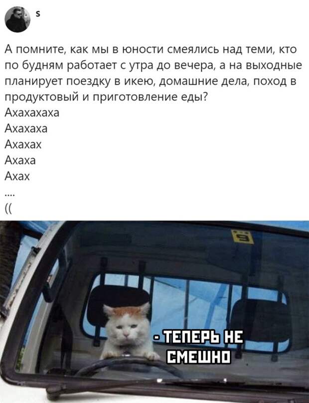Планы на выходные дни