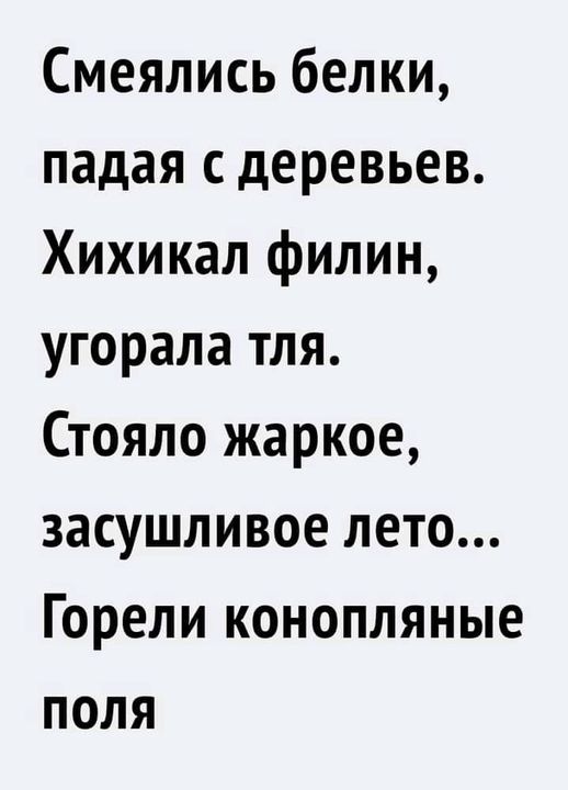Возможно, это изображение (один или несколько человек и текст «смеялись белки, падая с деревьев. хихикал филин, угорала тля. стояло жаркое, засушливое лето... горели конопляные поля»)